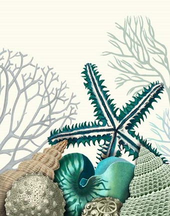 Framed Starfish Under the Sea Print