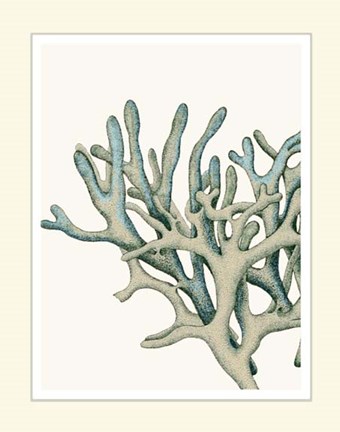 Framed Blue Underwater Scenes 1 c Print