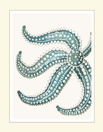 Framed Blue Underwater Scenes 1 e Print