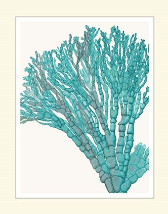 Framed Blue Underwater Scenes 1 f Print