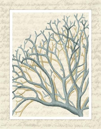 Framed Blue Corals On VIntage Script b Print
