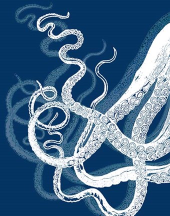 Framed Octopus Tentacles Blue And White Print