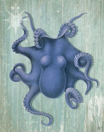 Framed Coastal Life Collection 1 b Print