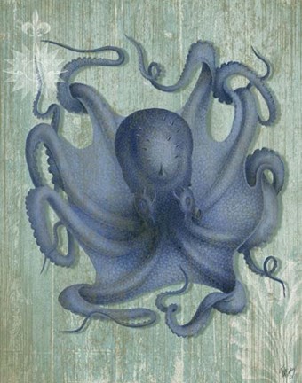 Framed Coastal Life Collection 1 c Print