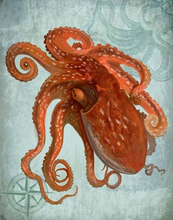 Framed Coastal Life Collection 2 a Print