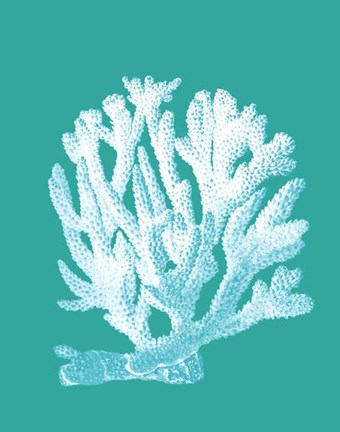 Framed Coral 1 White On Turquoise Print