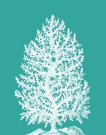 Framed Coral Tree White on Turquoise Print