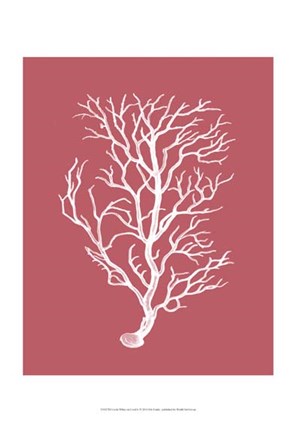 Framed Corals White on Coral b Print