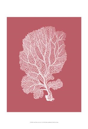 Framed Corals White on Coral c Print