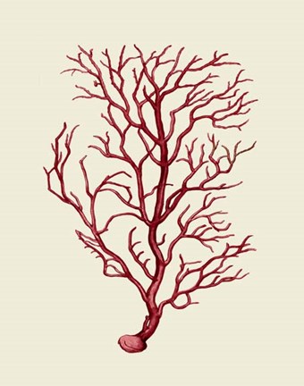 Framed Corals Coral On Cream b Print