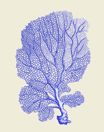 Framed Blue Corals b Print
