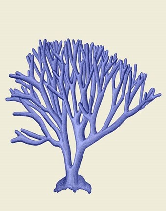 Framed Blue Corals c Print
