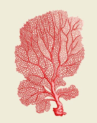 Framed Red Corals 1 b Print