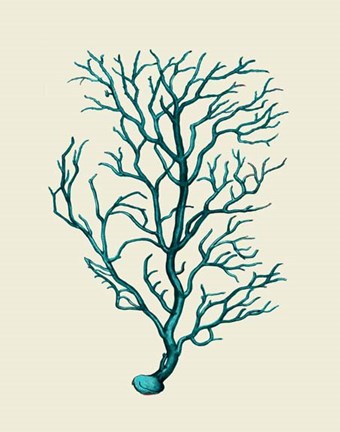 Framed Corals Turquoise On Cream b Print