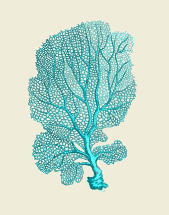 Framed Corals Turquoise On Cream c Print