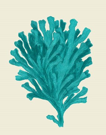 Framed Corals Turquoise On Cream d Print