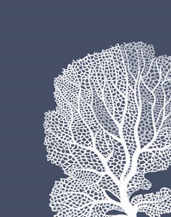 Framed Corals White on Indigo Blue b Print