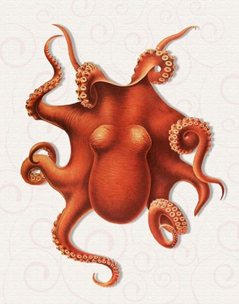 Framed Octopus 4 Orange Print