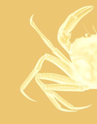 Framed Contrasting Crab in Mustard a Print