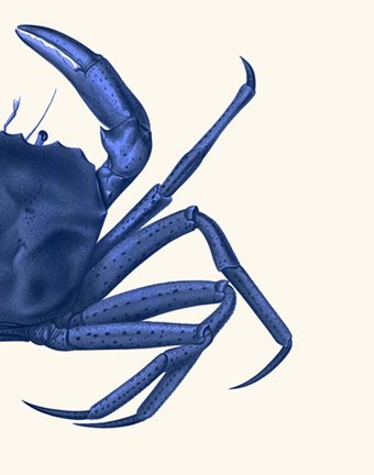 Framed Contrasting Crab in Navy Blue b Print