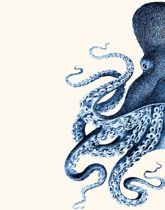 Framed Octopus Navy Blue and Cream a Print