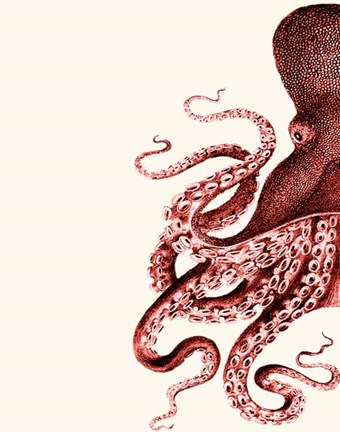 Framed Octopus Coral and Cream a Print