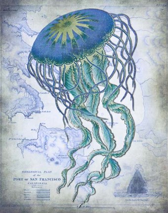 Framed Jellyfish On image of Nautical Map Print