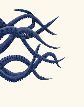 Framed Giant Octopus Tentacles b Print