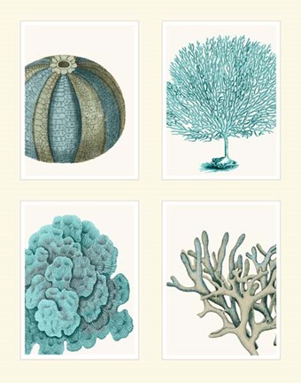 Framed Blue Corals and Sea Urchins in 4 Panels Print