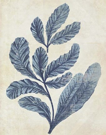 Framed Indigo Blue Seaweed 2 a Print