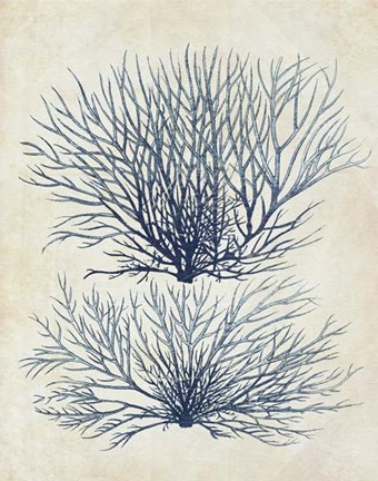 Framed Indigo Blue Seaweed 1 a Print