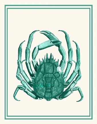 Framed Mixed Nautical Green on Cream b Print