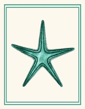 Framed Mixed Nautical Green on Cream f Print