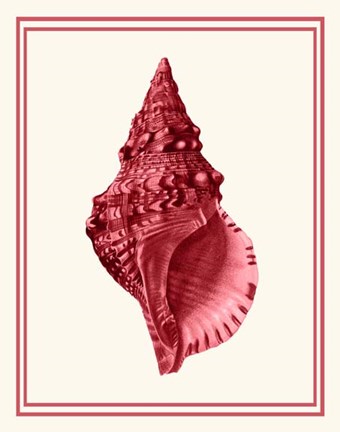 Framed Mixed Nautical Coral on Cream c Print