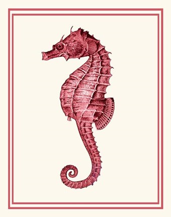 Framed Mixed Nautical Coral on Cream d Print