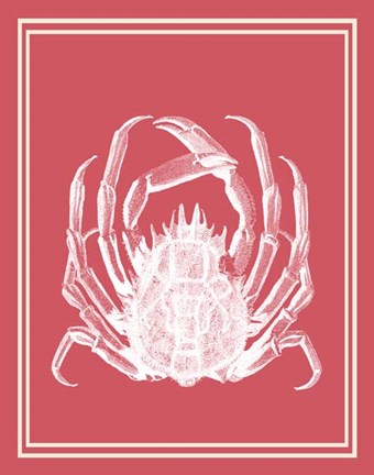 Framed Mixed Nautical White on Coral a Print