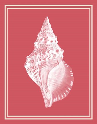 Framed Mixed Nautical White on Coral d Print