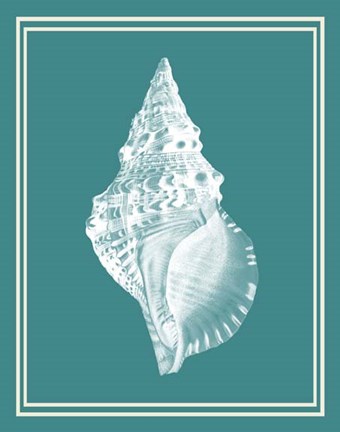 Framed Mixed Nautical White on Teal c Print