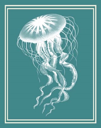 Framed Mixed Nautical White on Teal e Print