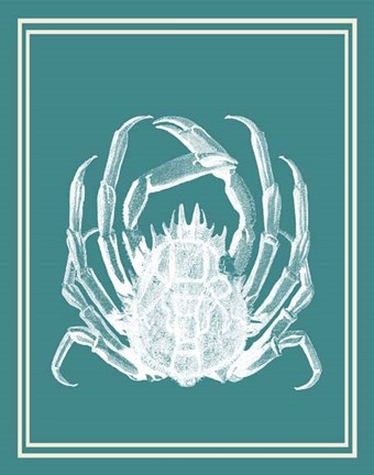 Framed Mixed Nautical White on Teal f Print