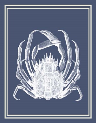 Framed Mixed Nautical White on Indigo Blue f Print