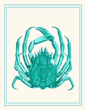Framed Mixed Nautical Turquoise on Cream b Print