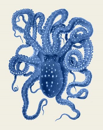 Framed Blue Octopus on Cream a Print