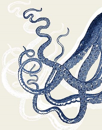Framed Octopus Print Blue on Cream a Print