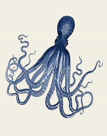Framed Octopus Print Blue on Cream c Print