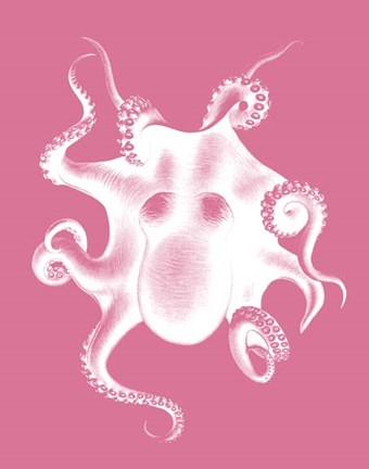 Framed Octopus White on Pink c Print