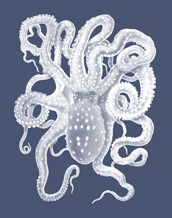 Framed White Octopus on Indigo Blue a Print