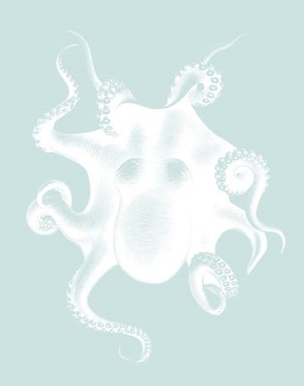 Framed White Octopus on Seafoam d Print