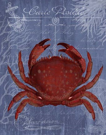 Framed Seaside Postcard Red on Blue f Print