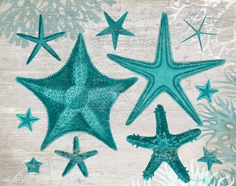 Framed Green Starfish Collection Print